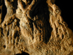 L_V12d9430 A13i15 jx12 fab 3 bearded faces